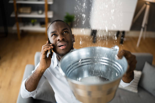Best Carpet water damage restoration  in Menahga, MN