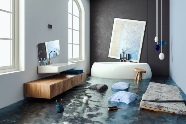 Best Professional water damage repair  in Menahga, MN