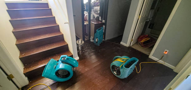 Best Flooded house restoration  in Menahga, MN