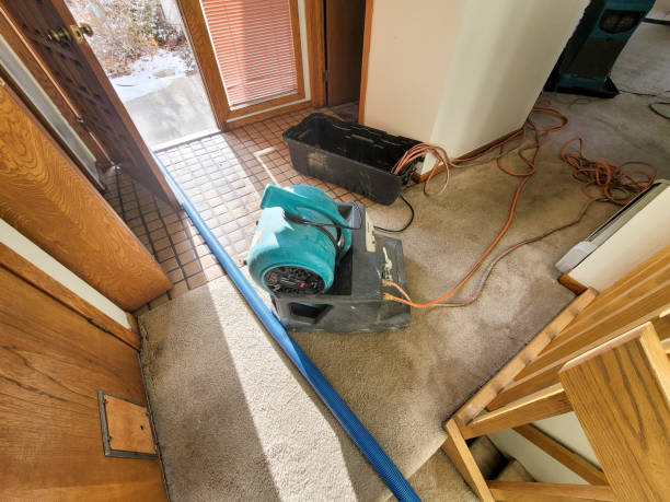 Best 24/7 water damage repair  in Menahga, MN