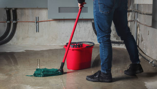 Best 24/7 water damage repair  in Menahga, MN