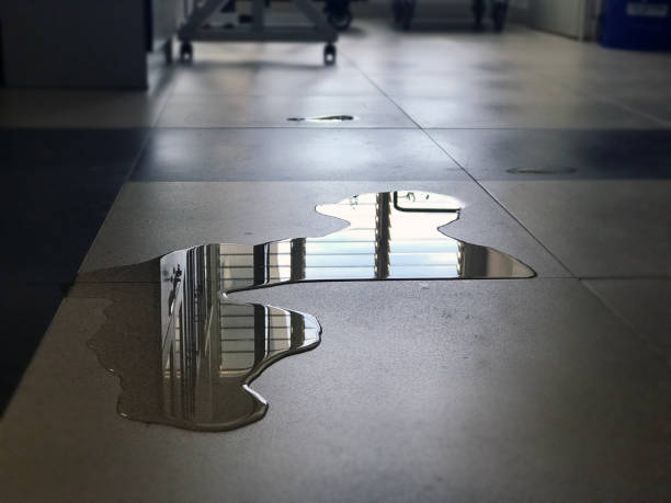 Best Commercial water damage restoration  in Menahga, MN