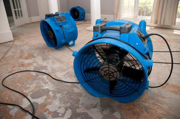 Best Water damage restoration near me  in Menahga, MN