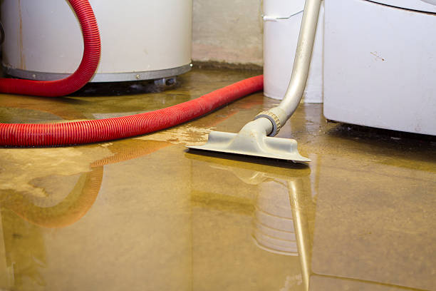  Menahga, MN Water damage restoration Pros