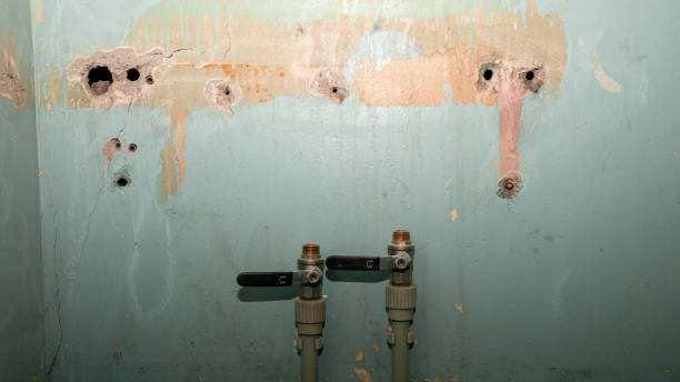 Best Local water damage restoration  in Menahga, MN