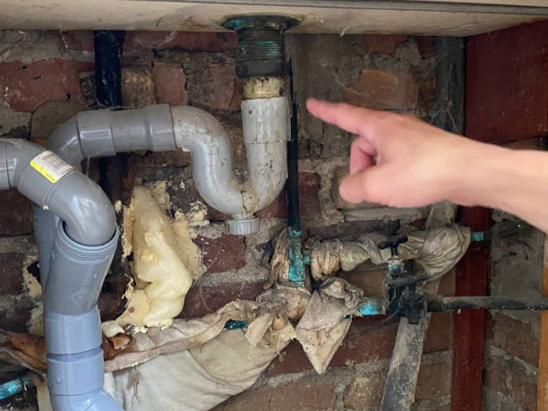 Best Water damage restoration mold remediation  in Menahga, MN