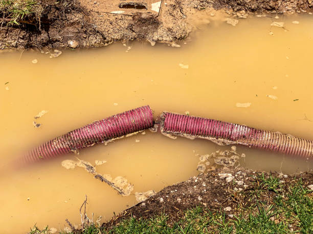 Best Flood damage cleanup  in Menahga, MN
